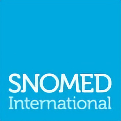 Understanding SNOMED CT: The Global Standard for Clinical Terminology